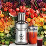 آبمیوه گیری سیج SAGE مدل SJE830 BSS - تصویر 8